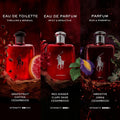 Ralph Lauren - Polo Red - Parfum - Men's Cologne - Ambery & Woody - With Absinthe, Cedarwood, and Musk - Intense Fragrance